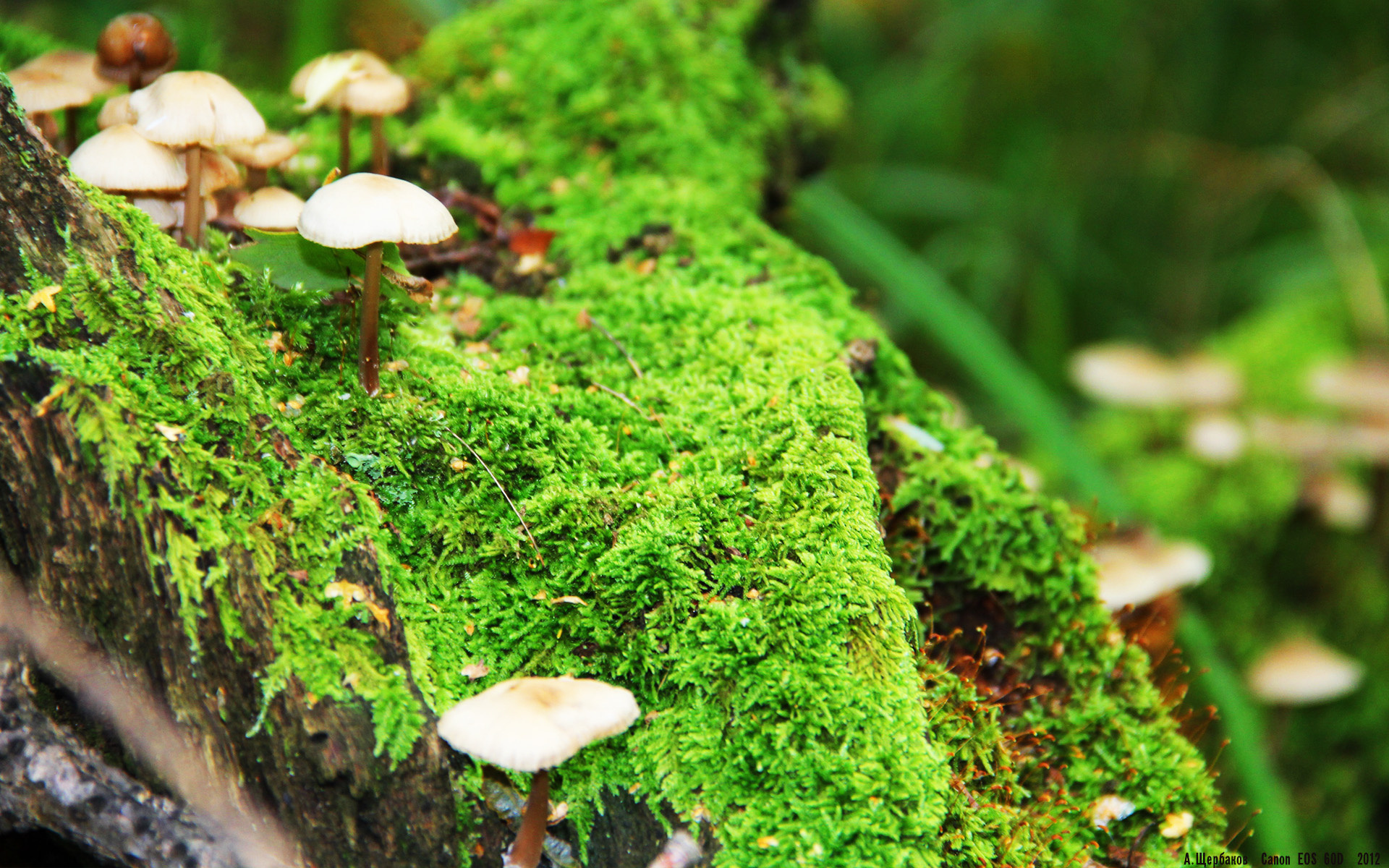 爱游戏-逆境逆袭：困境中逆风翻盘的精彩瞬间盘点，逆境翻盘的图片