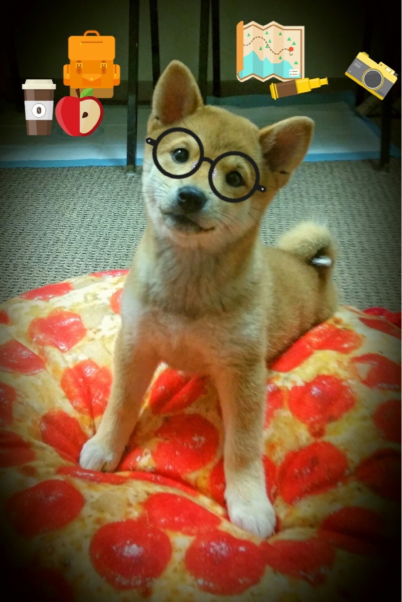 爱游戏平台-篮球运动员专项体能恢复方法探讨,篮球专项体能的训练方法及个人锻炼目标