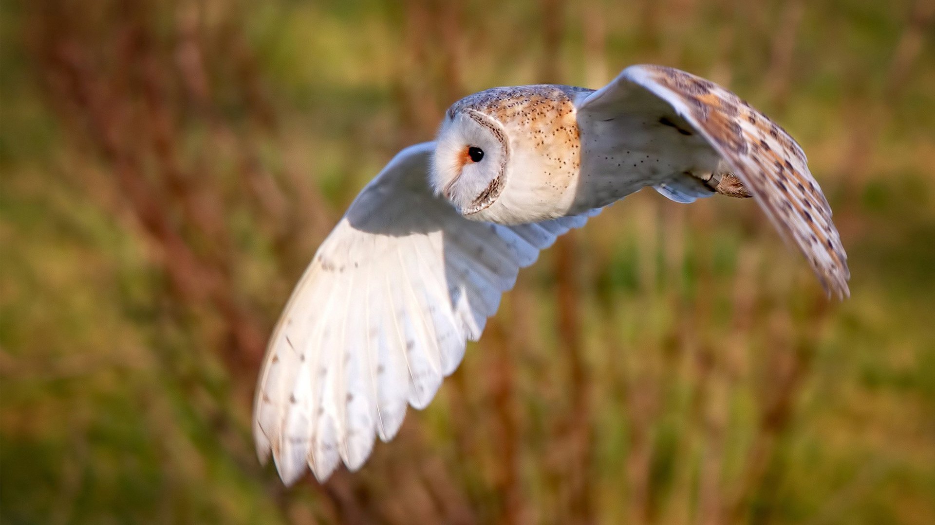 爱游戏智能体验-高校体育教学质量评价体系优化研究，高校体育教学质量评价体系优化研究方案