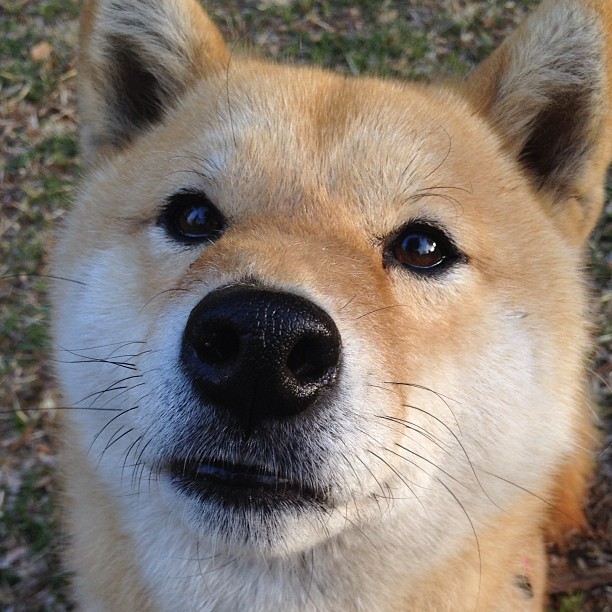 爱游戏入口-CBA联赛积极推动青少年篮球培训计划,专业青少年篮球培训提供篮球服务