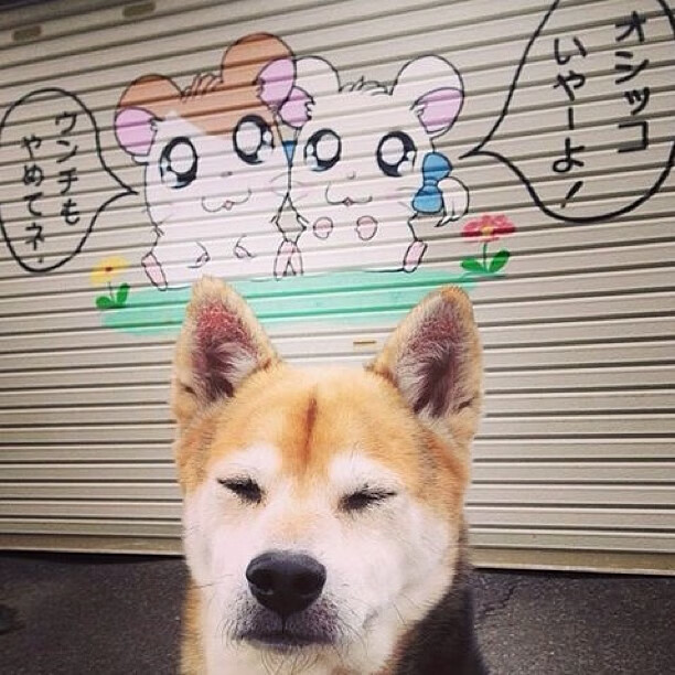 爱游戏中国官网-“四川省体育馆拳击赛事:谁能在拳击擂台上打破极限,迎接金牌荣耀?”