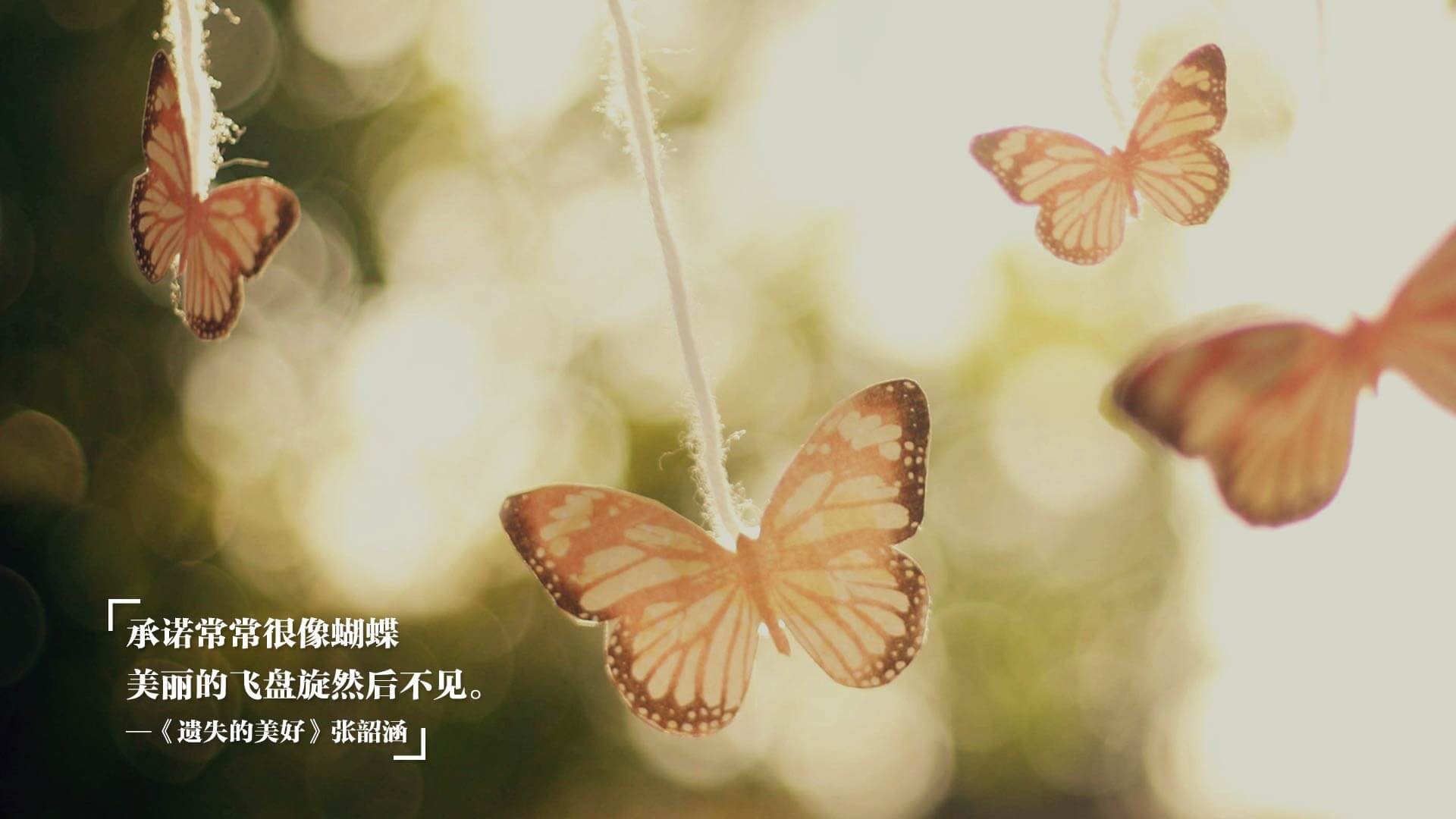 AYX GAMES-“龙泉驿区东安湖赛场:全新运动项目迎接全球观众”