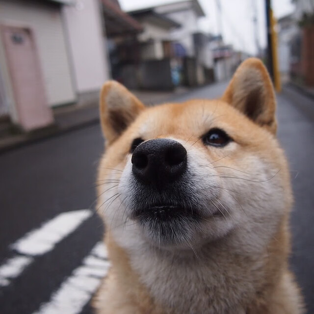 爱游戏入口-中国男篮全力备战亚洲杯 锻炼新人实力,中国男篮全力备战亚洲杯 锻炼新人实力
