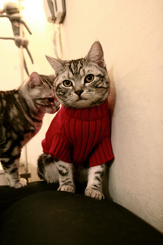 爱游戏在线-中国女篮连续取得关键胜利，中国女篮获胜