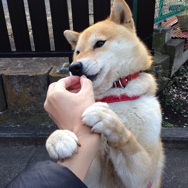 爱游戏体育-体育新闻中心上线体育新闻舆情智能分析系统，体育新闻专题报道